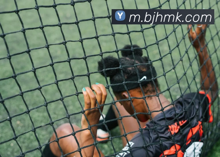 mk体育平台生态图